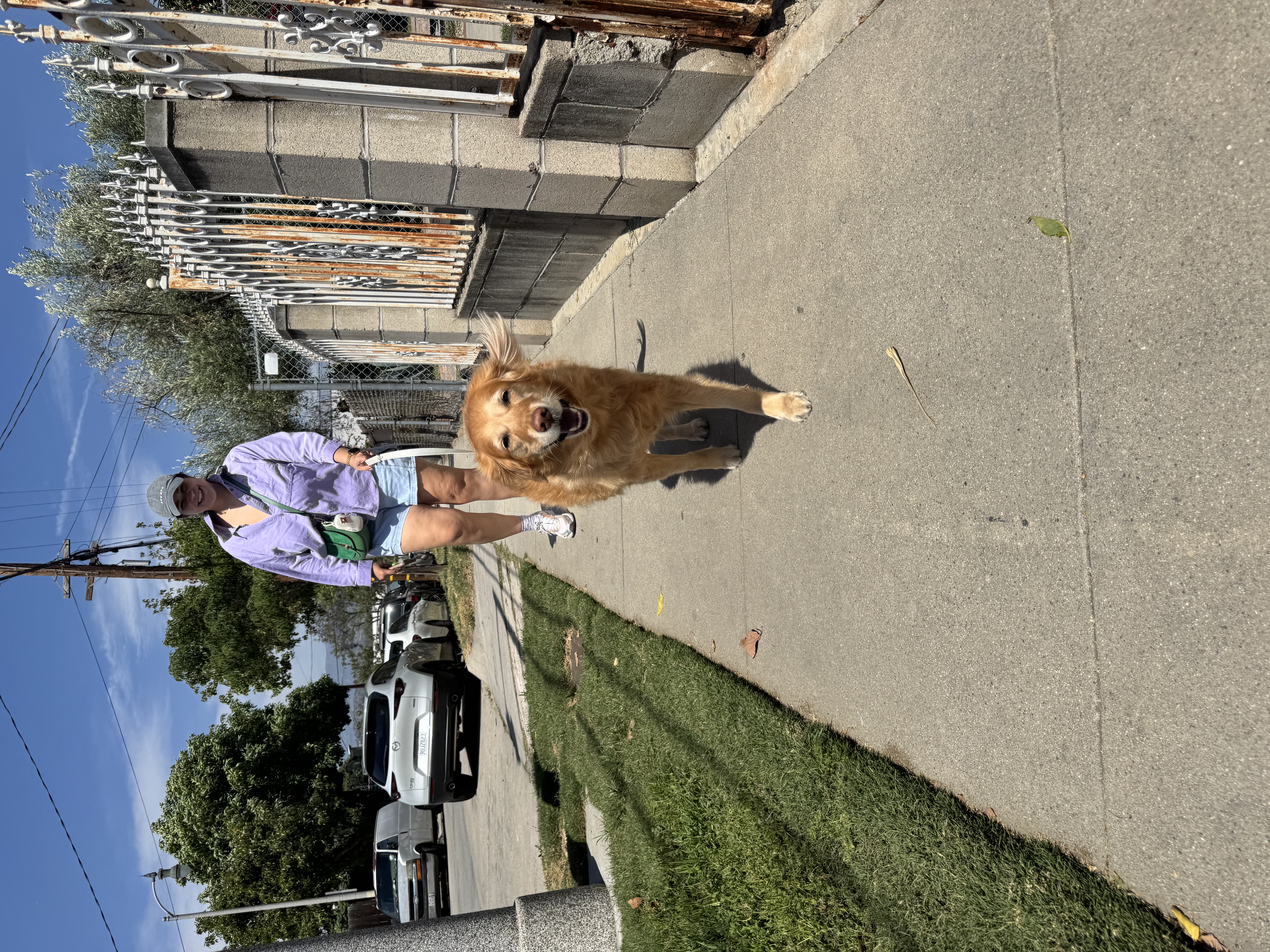 Nidia walking a dog on a Northeast LA sidewalk