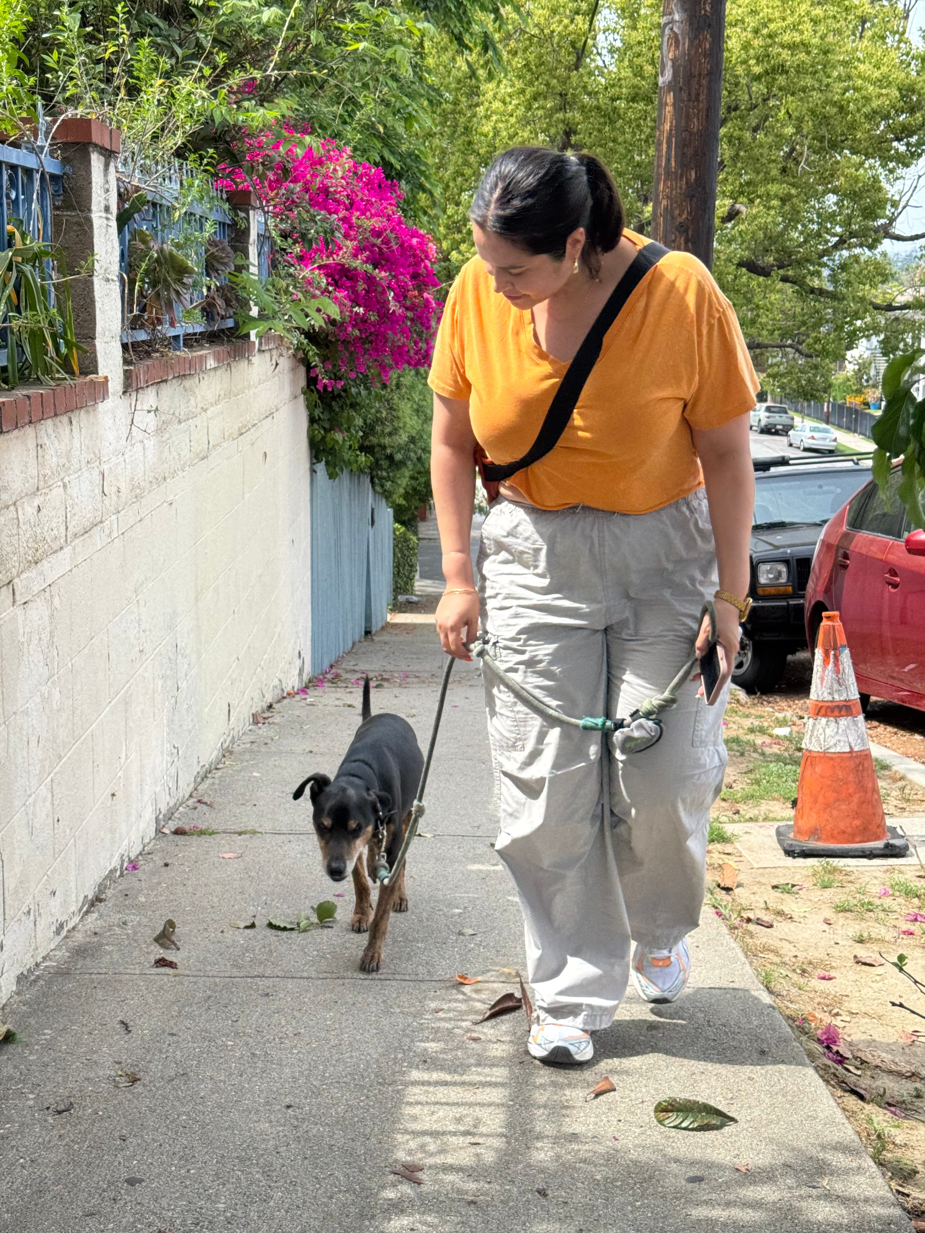 Nidia walking a dog in Northeast LA