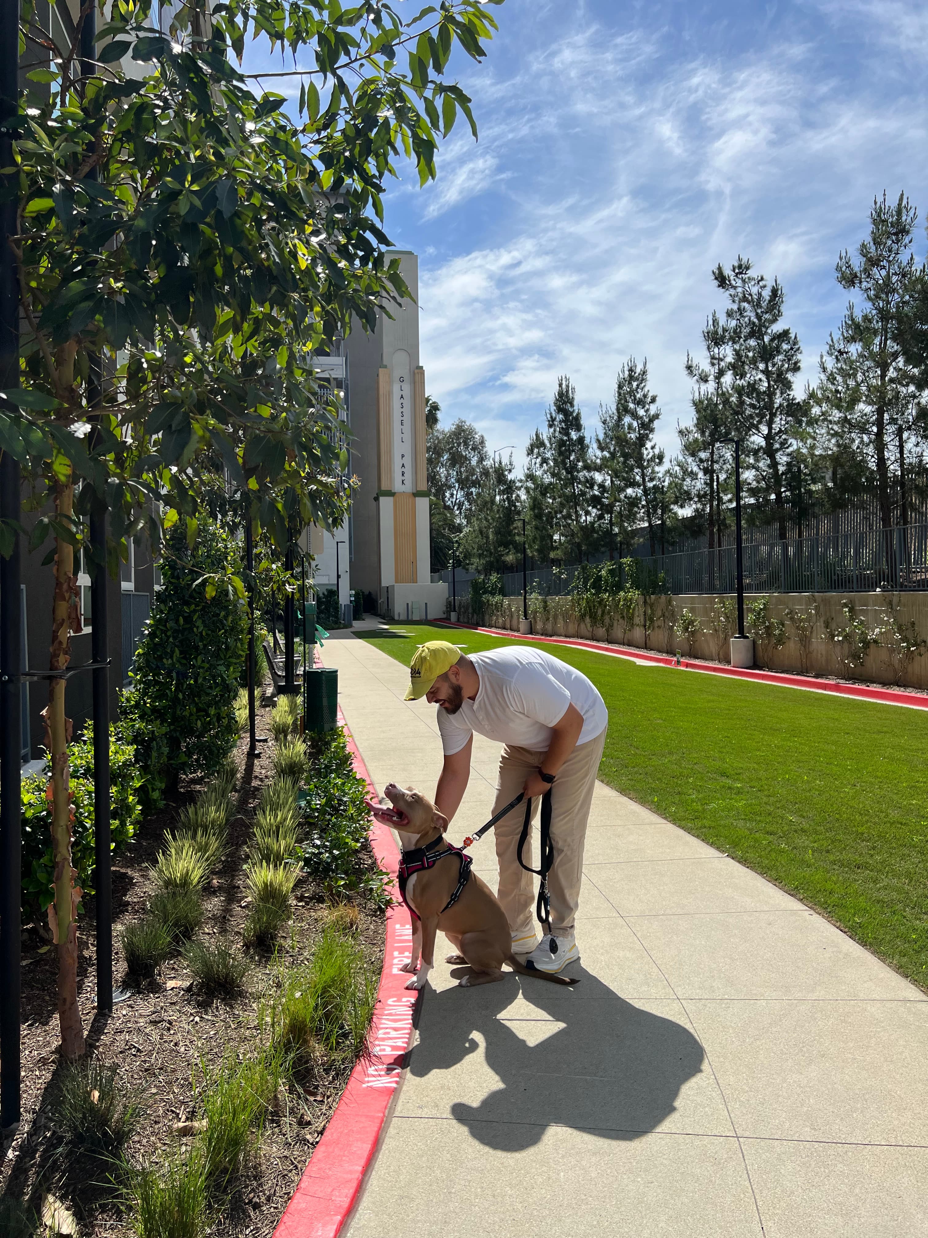 Walker with dog in Glassell Park